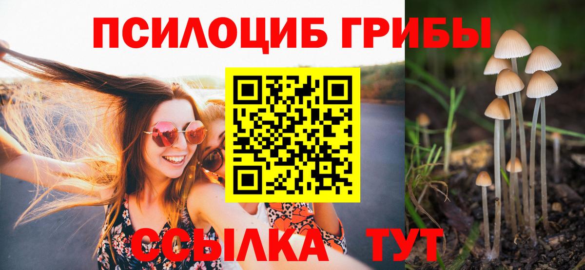 Псилоцибиновые грибы ЛСД Шелехов
