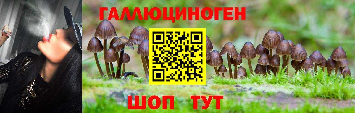 Псилоцибиновые грибы MAGIC MUSHROOMS  Псилоцибиновые грибы Cubensis  Вход с VPN  Шелехов 